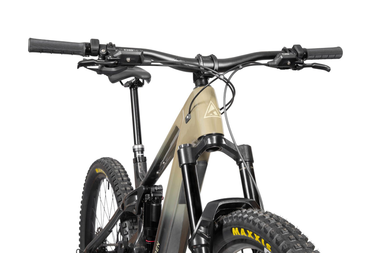 FORBIDDEN Druid E T4