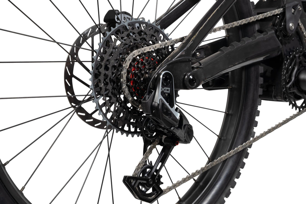 FORBIDDEN Druid CorE 1