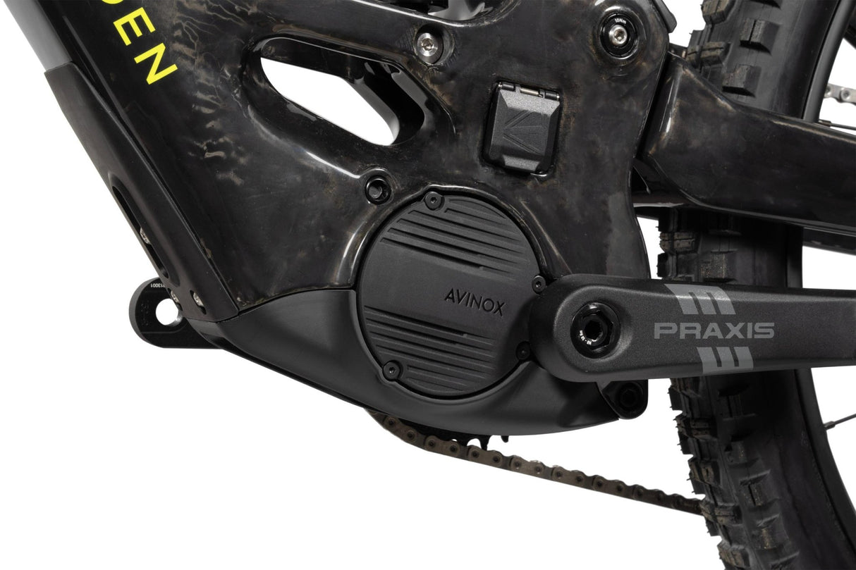 FORBIDDEN Druid CorE 1