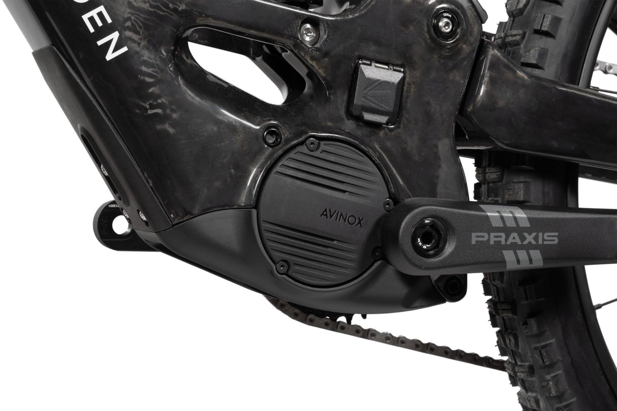 FORBIDDEN Druid LitE 1