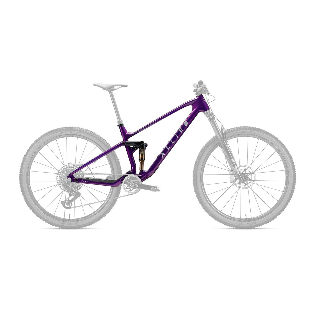 ALLIED FITZ FRAMESET