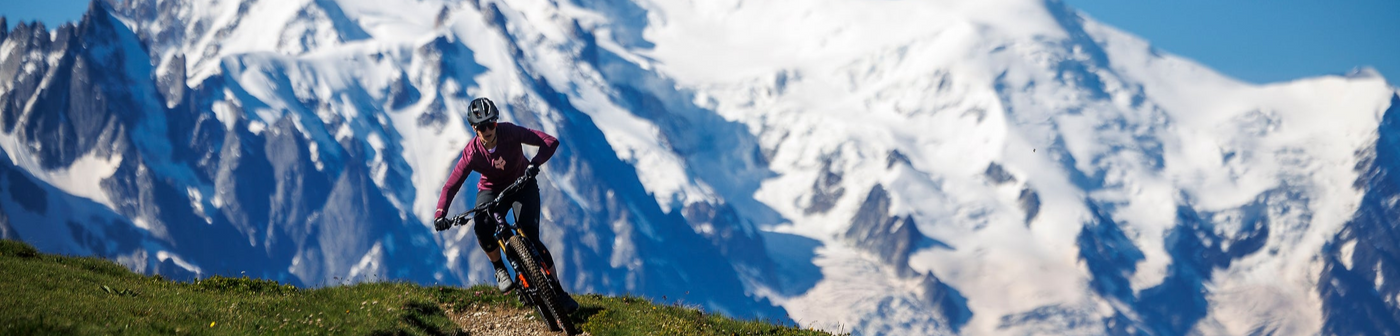 Santa Cruz Bikes Kategorie