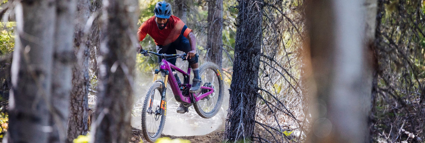 Santa_Cruz_Heckler_SL_Kategorie