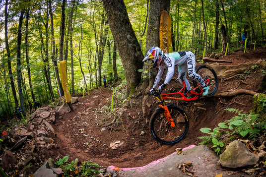 Santa Cruz V10