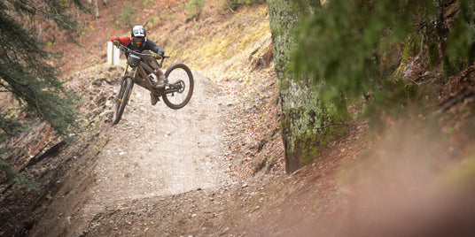 Wildride Bikepark Todtnau