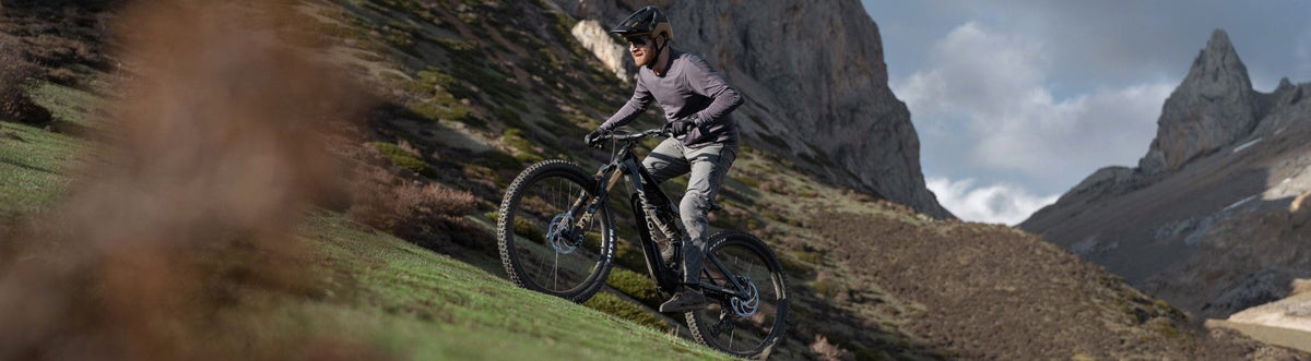 Amflow Bikes kaufen | Das Amflow PL mit 120 Nm Drehmoment