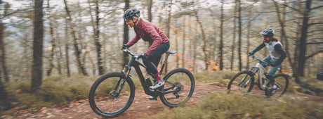 Focus Bikes Kategorie 2-Cycle