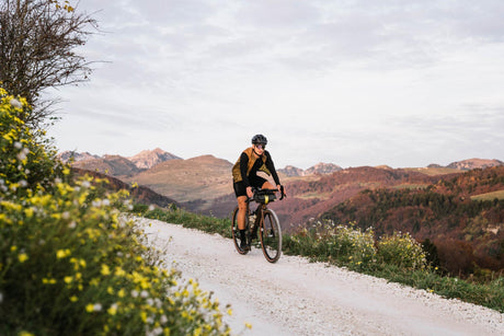 Focus Atlas bei 2-Cycle