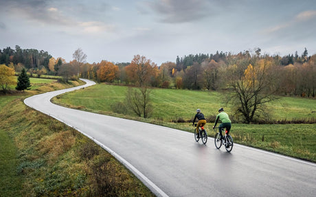 Focus Paralane bei 2-Cycle entdecken