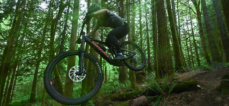 Santa Cruz Vala AL bei 2-Cycle entdecken!