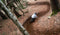 Mountainbike