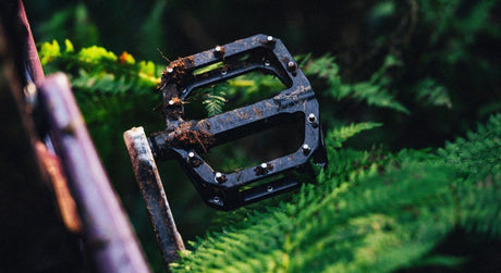 Pedale - 2-Cycle GmbH