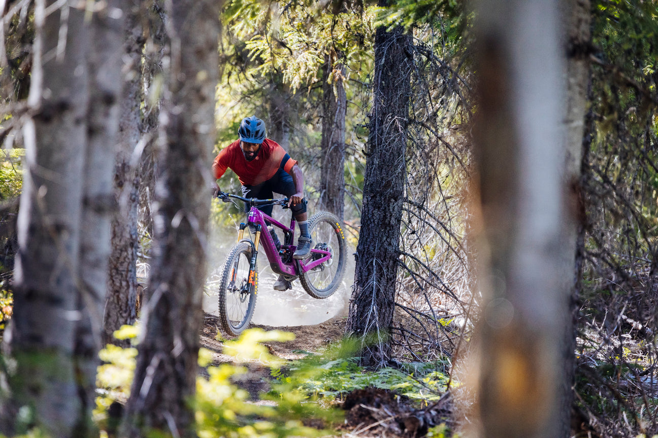 Santa Cruz Heckler SL Kategorie