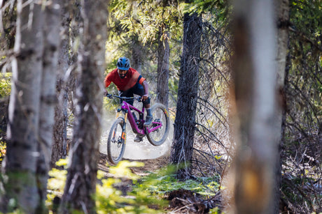 Santa Cruz Heckler SL Kategorie