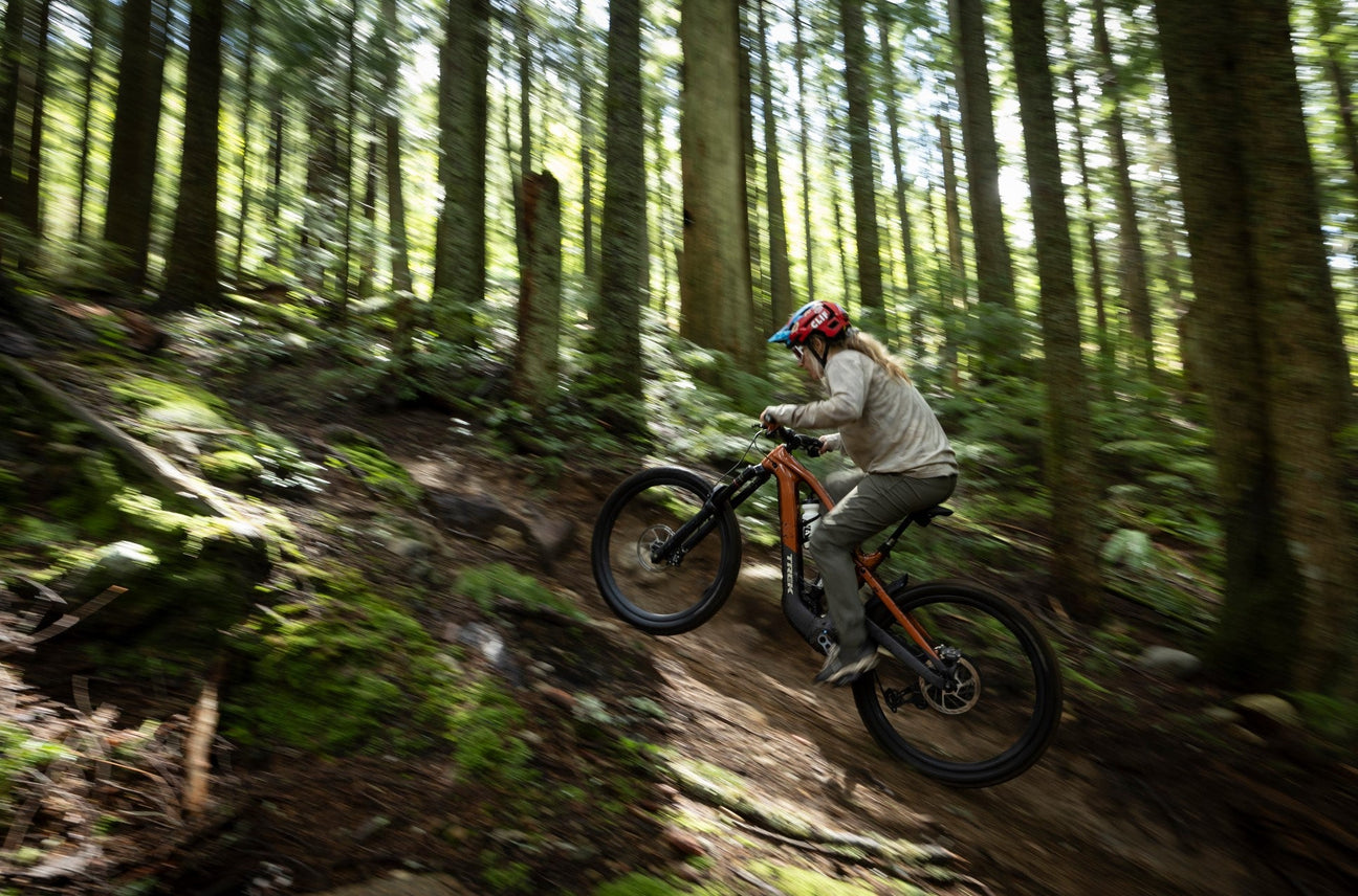 Trek Slash Plus Kategorie