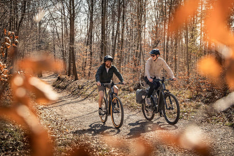 Trekking E-Bike Kategorie bei 2-Cycle