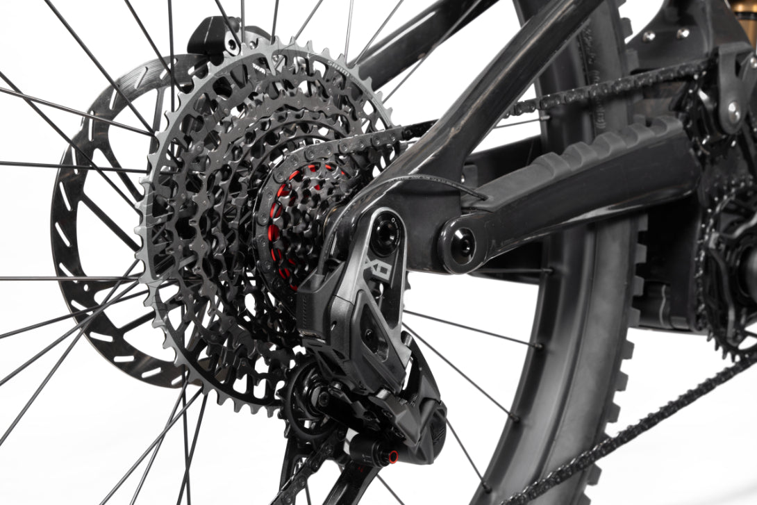 FORBIDDEN Druid E T1