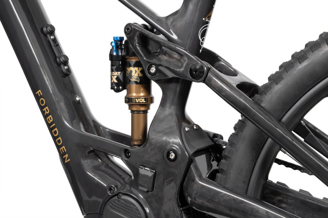 FORBIDDEN Druid E T1