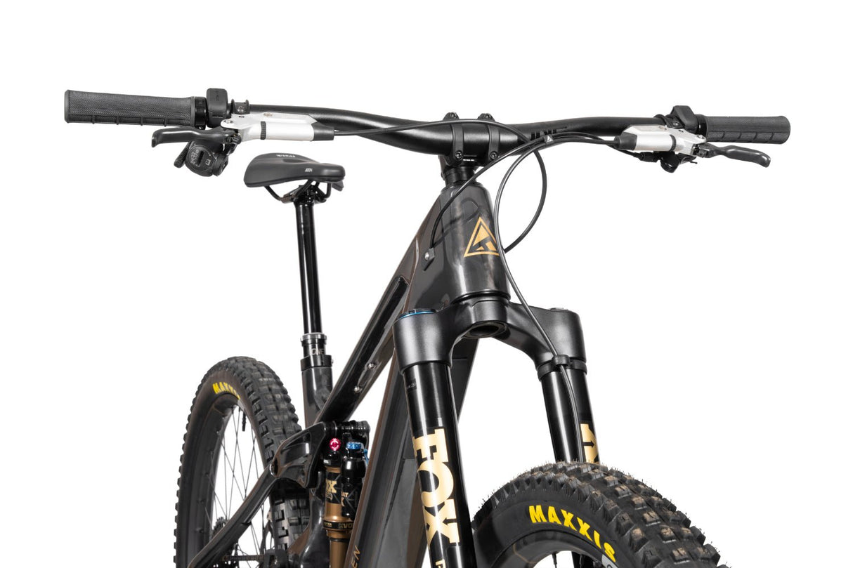 FORBIDDEN Druid E T1