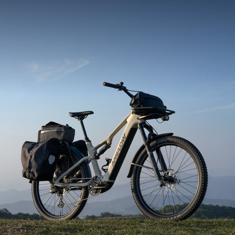 Amflow TL Carbon - Bei 2-Cycle GmbH Freiburg entdecken!