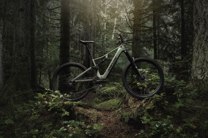 Amflow PR bei 2-Cycle entdecken
