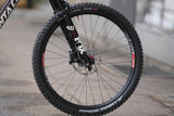 Santa Cruz V10 7 CC 29 L Custom - Gebraucht*