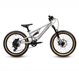 Early Rider Hellion X20