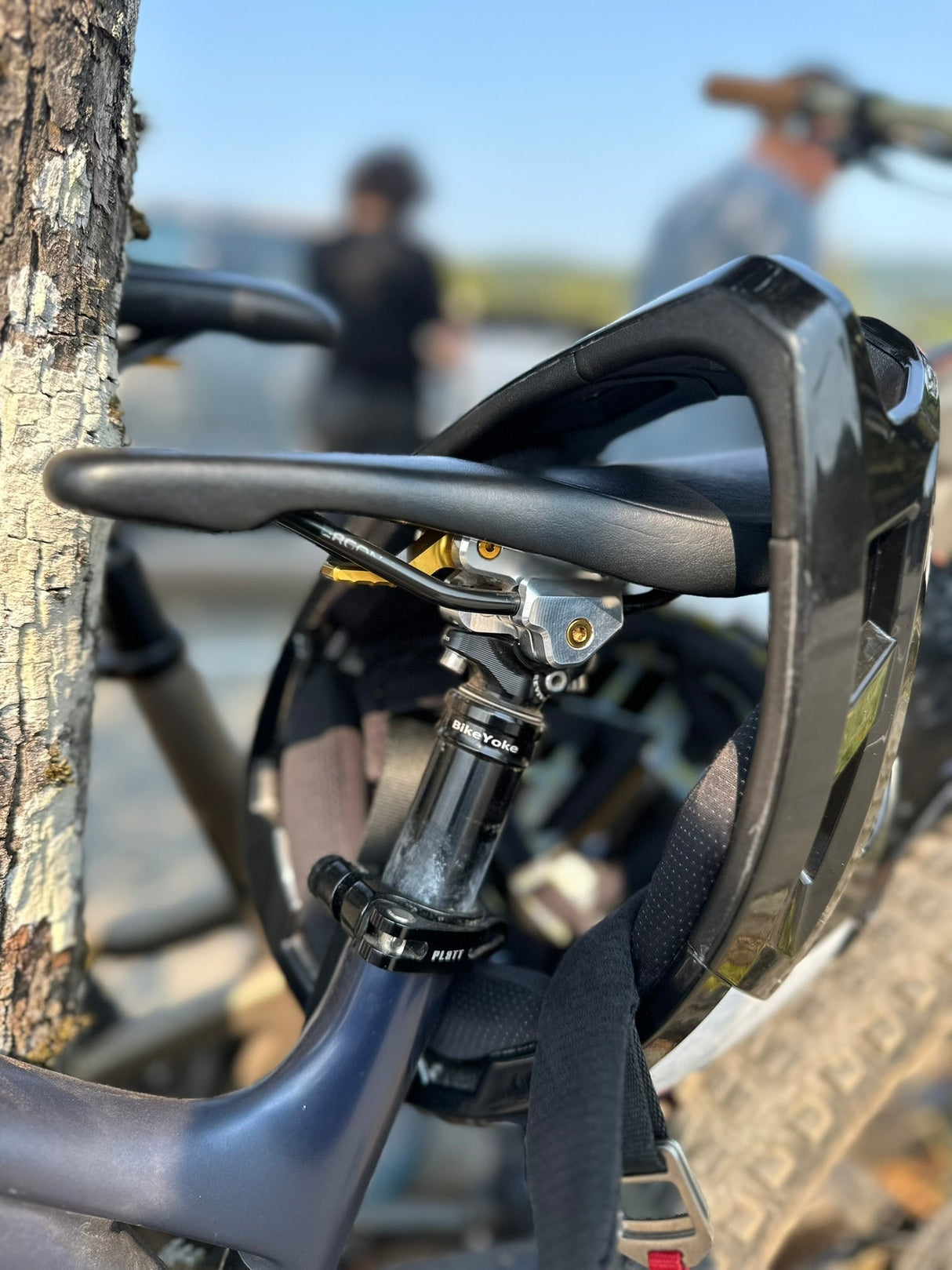 AENOMALY SwitchGrade EVO 2.0