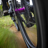 OneUp Rear Hub