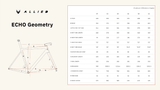 ALLIED ECHO FRAMESET - Bei 2-Cycle GmbH Freiburg entdecken!