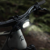 Amflow PR Carbon Pro | Avinox M2S Motor | 800 Wh