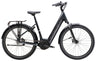 Trek District+ 3 Lowstep Belt bei 2-Cycle Bikeshop