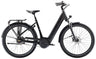 Trek District+ 4 Guard Lowstep bei 2-Cycle Bikeshop