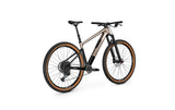 Focus RAVEN 8.9
