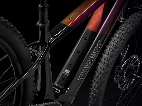 Trek Powerfly+ 6 Gen 5 bei 2-Cycle Bikeshop
