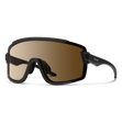 Smith Optics Wildcat